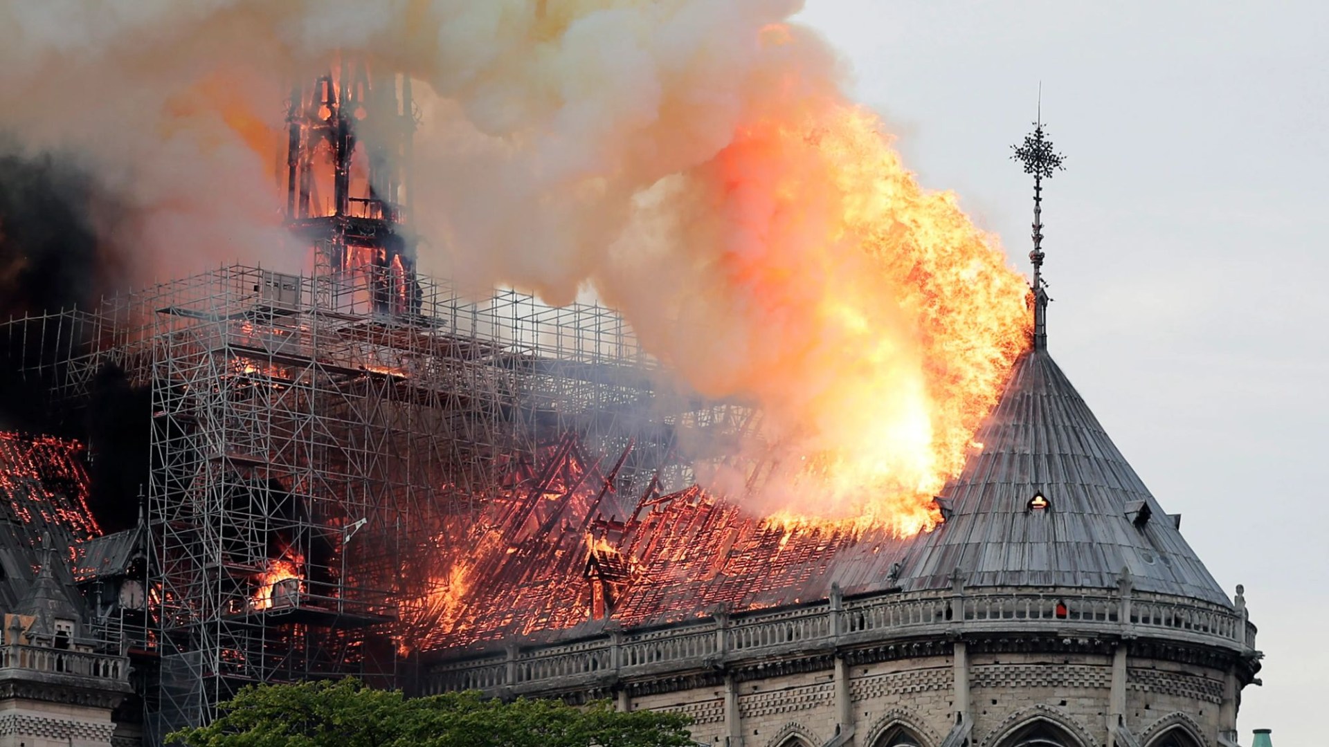 Donald Trump to meet Prince William & Jill Biden ahead of Notre Dame reopening on first trip since election win