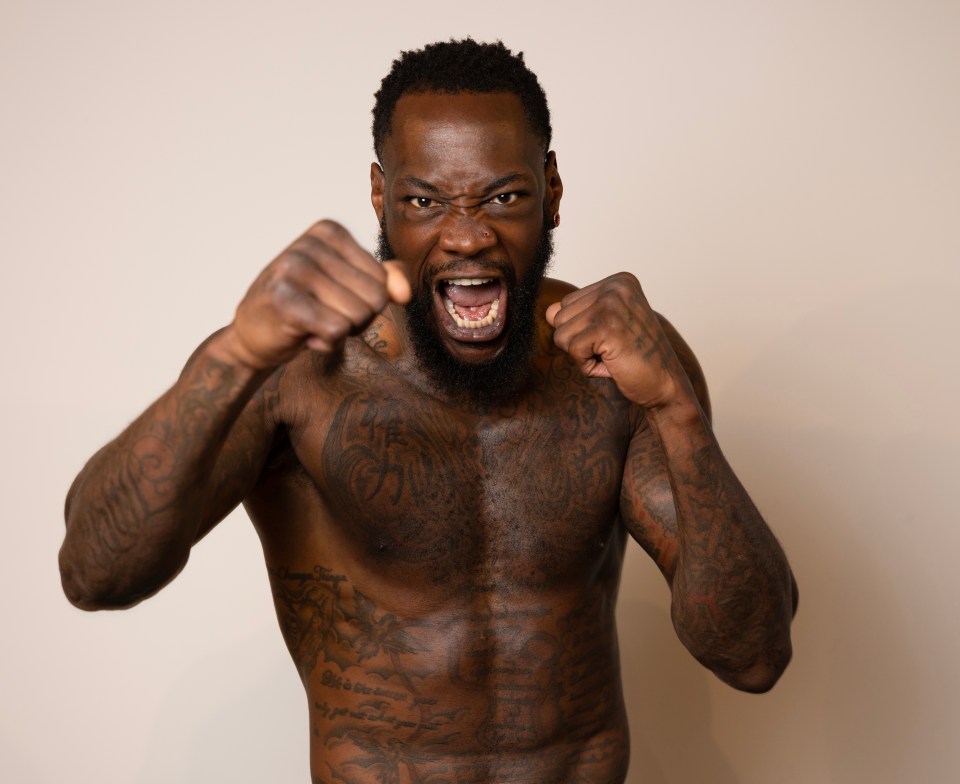 Wilder was set to fight AJ in 2024