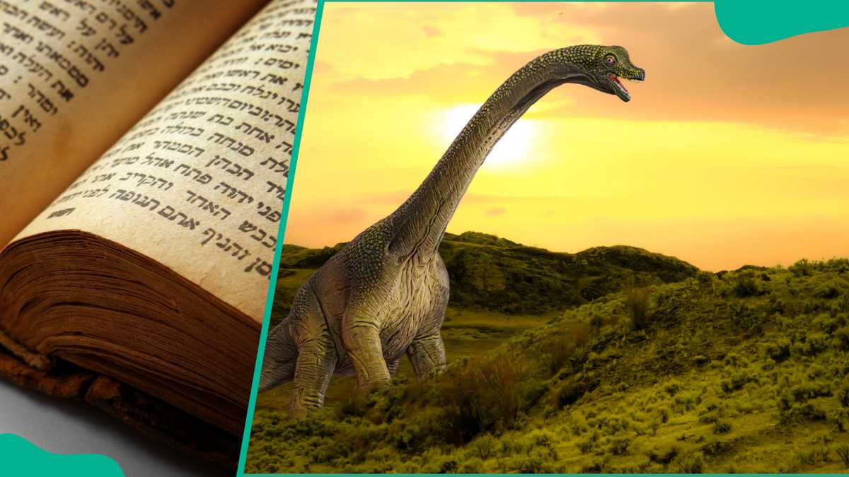 Are there dinosaurs in the Bible? Here's what the Bible says about these creatures