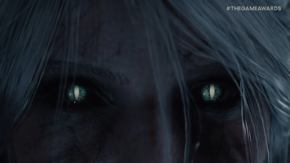 The game is officially called The Witcher 4