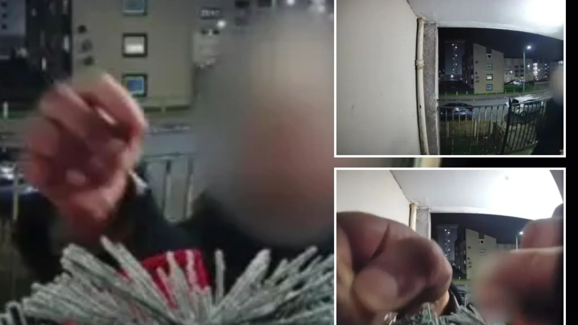 Christmas Grinch caught stealing wreath on Ring doorbell cam at Scots flat