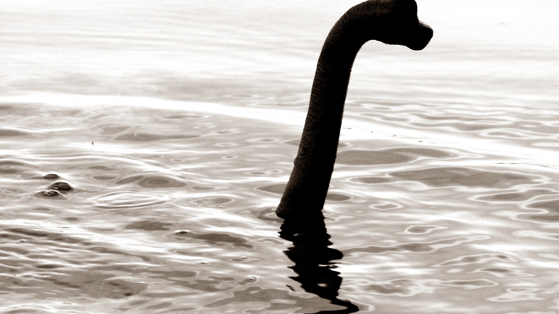 Mystery as Loch Ness Monster sightings tumble but a 'chilling' sonar sounding left skipper speechless