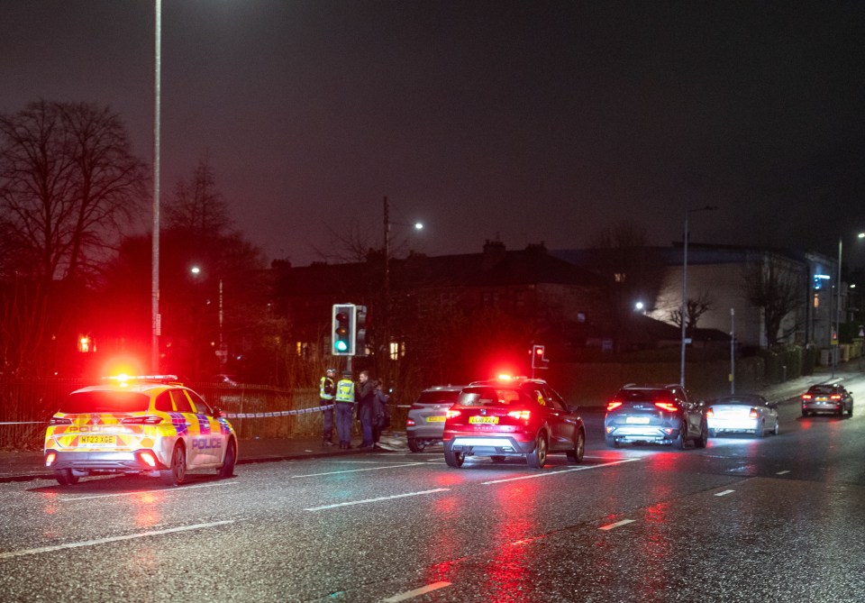 Officers have also locked down the area around Auldhouse Road