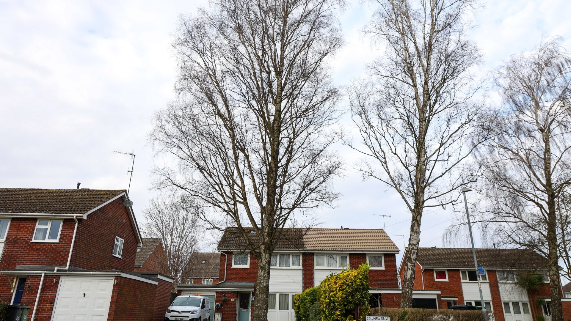 We’re terrified a 100ft tree will fall and crush our homes but council REFUSES to chop it down despite pleas for help – The Scottish Sun