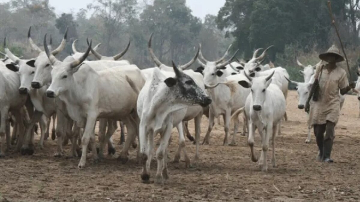 Hukumar Kare Hakkin Bil Adama Ta Nuna Damuwa Kan Yawan Kisan Fulani A Najeriya