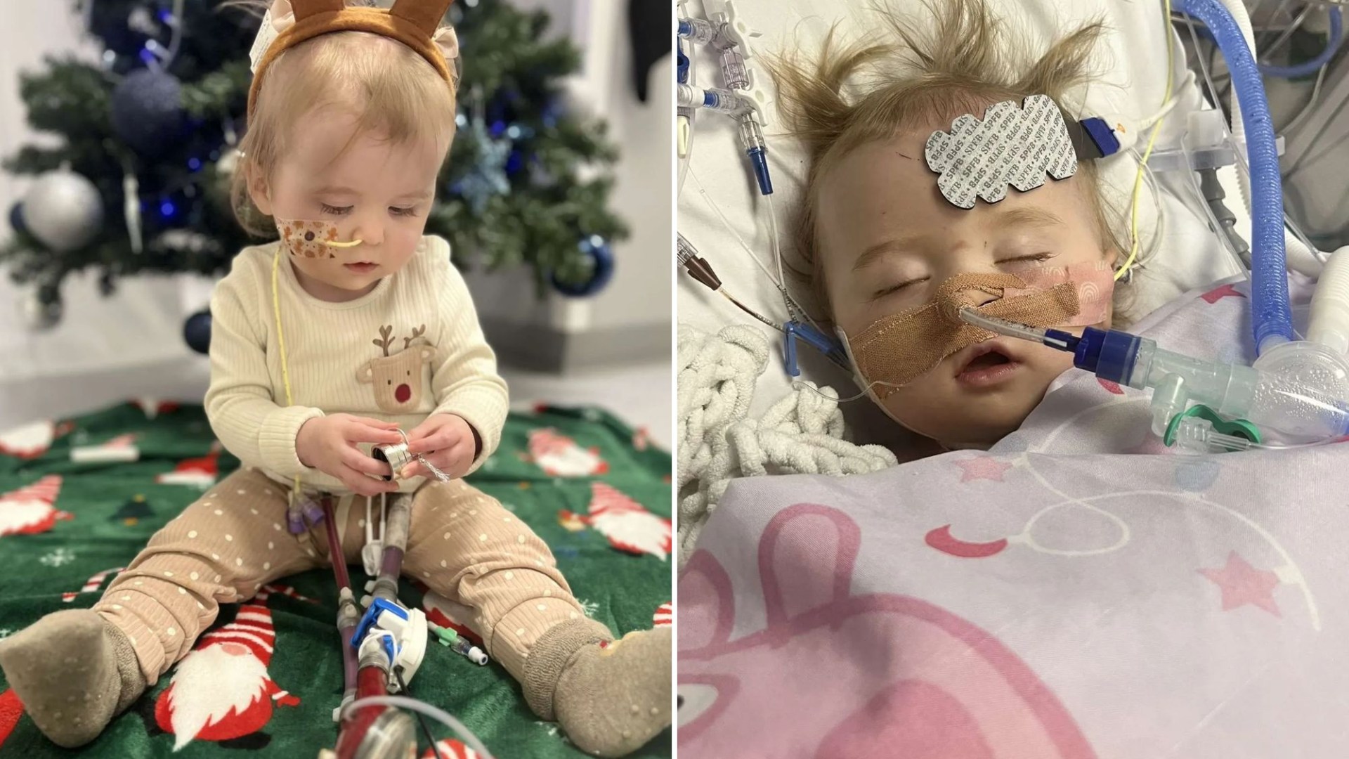 Adorable toddler has one wish from Santa this Christmas - a new heart and the chance to live after 'nightmare' diagnosis