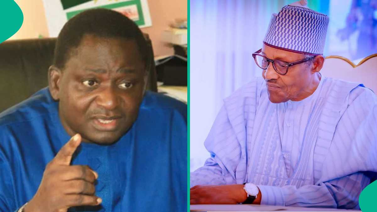 Adesina: 'Babban Dalilin da Ya Sa Buhari Ya Ƙi Cire Tallafin Man Fetur a Mulkinsa'