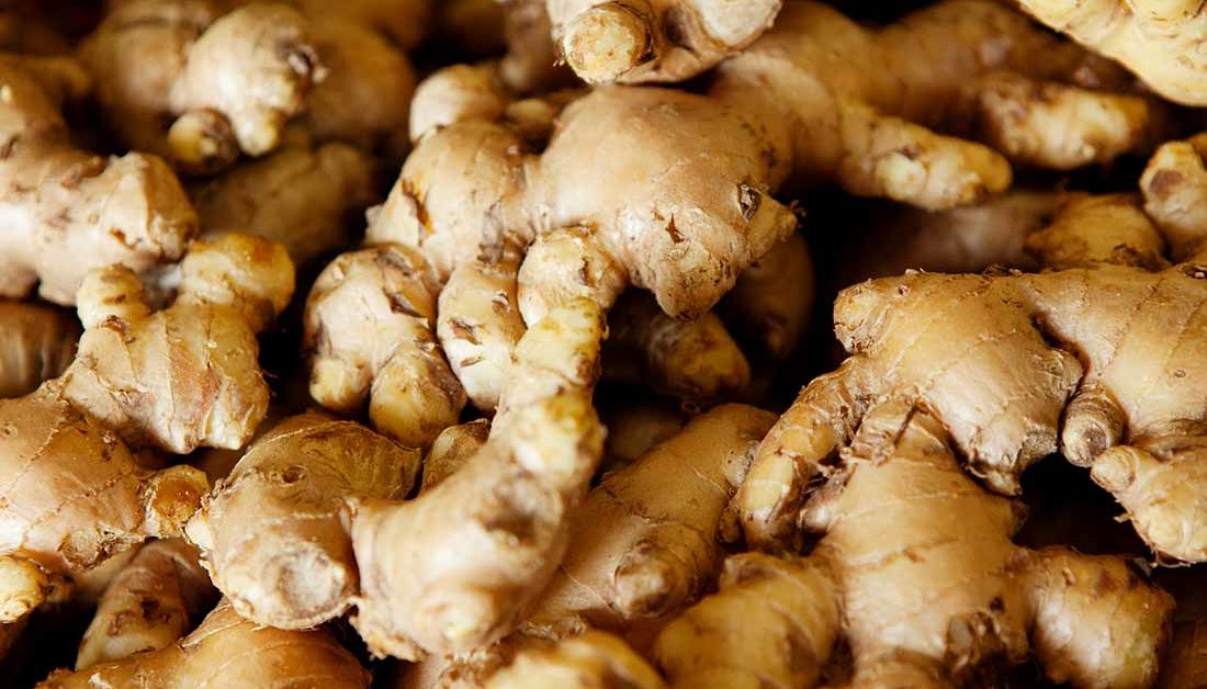 After N10bn Loss, Ginger Farmers Embrace Organic Method