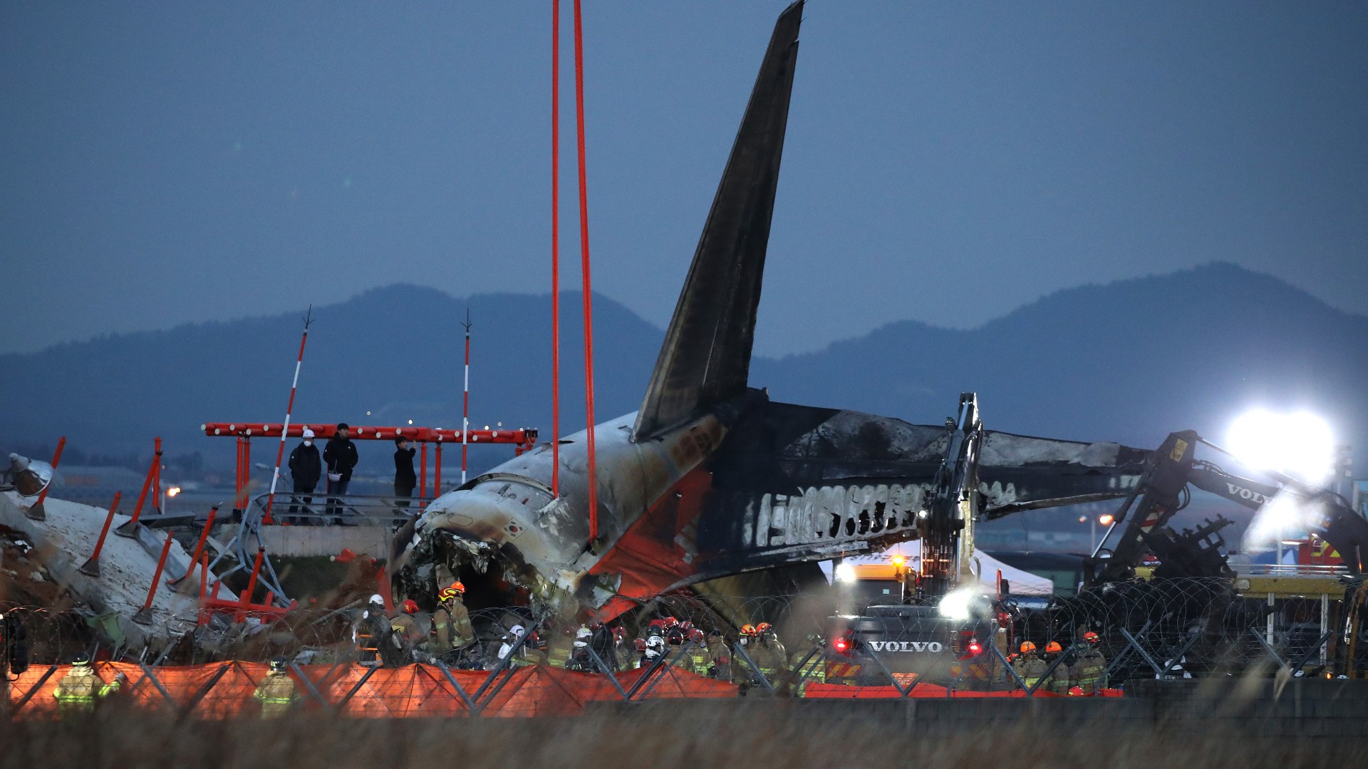 Desperate hunt for answers over South Korea plane crash that killed 179 people as experts cast doubt on 'bird strike'