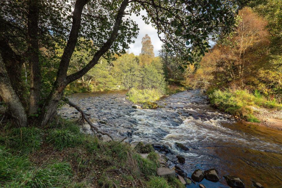 Public and Scottish Crown Estate managed land makes up 11% of Scotland