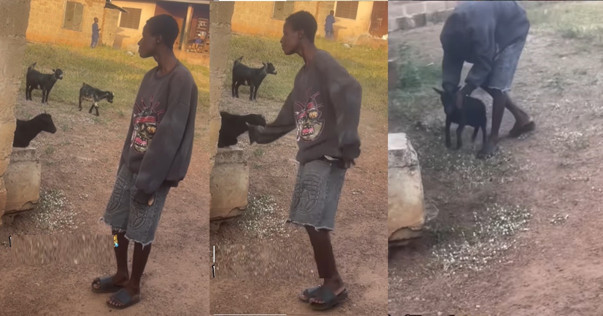 "Help me find this boy for this December" – Netizens react as boy "professionally" catches goat by its neck (WATCH)