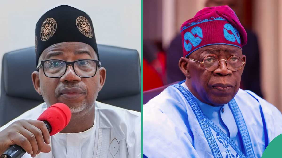 "Ka Watsar da Su": Gwamnan PDP Ya ba Shugaba Tinubu shawara