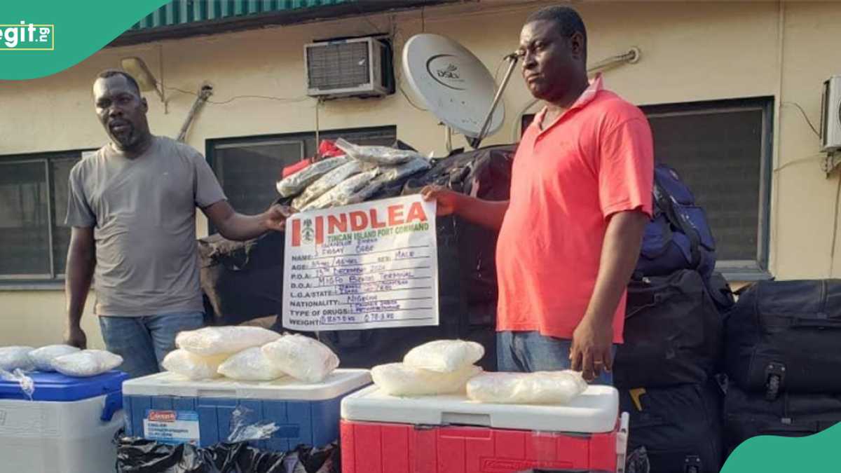 NDLEA Intercepts N3.3bn Meth, Loud Concealed in Auto Parts Ahead of Christmas