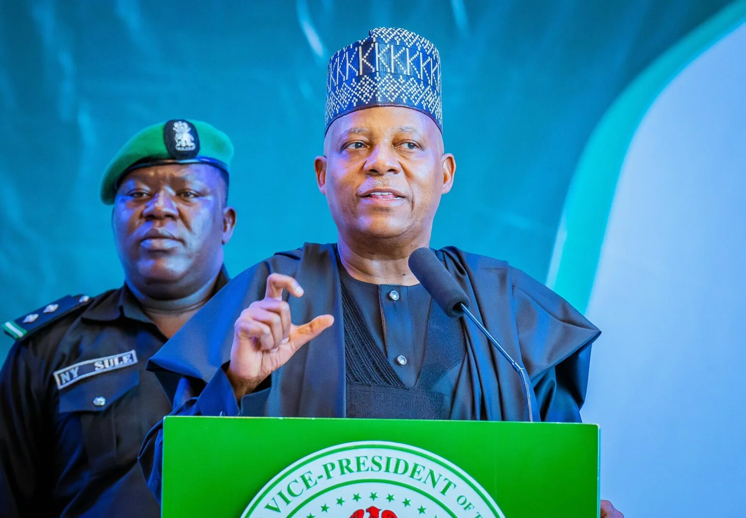 Nigeria Needs Viable Power Sector To Develop – Shettima