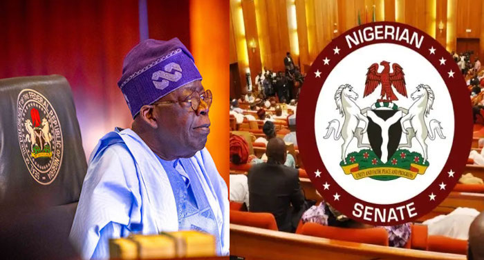 President Tinubu Tax Reform Bill Makes Progress in The Senate