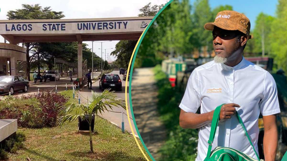 "These are Relevant Degrees": Reno Omokri Lists Courses Nigerians Should Study In University