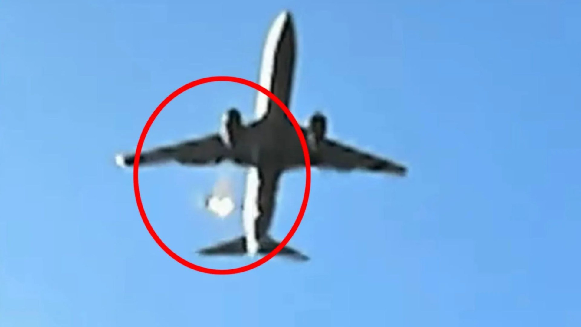 What caused South Korea plane crash? Shock vid shows ‘bird strike’ & survivor heard ‘explosion’ before deadly landing – The Scottish Sun