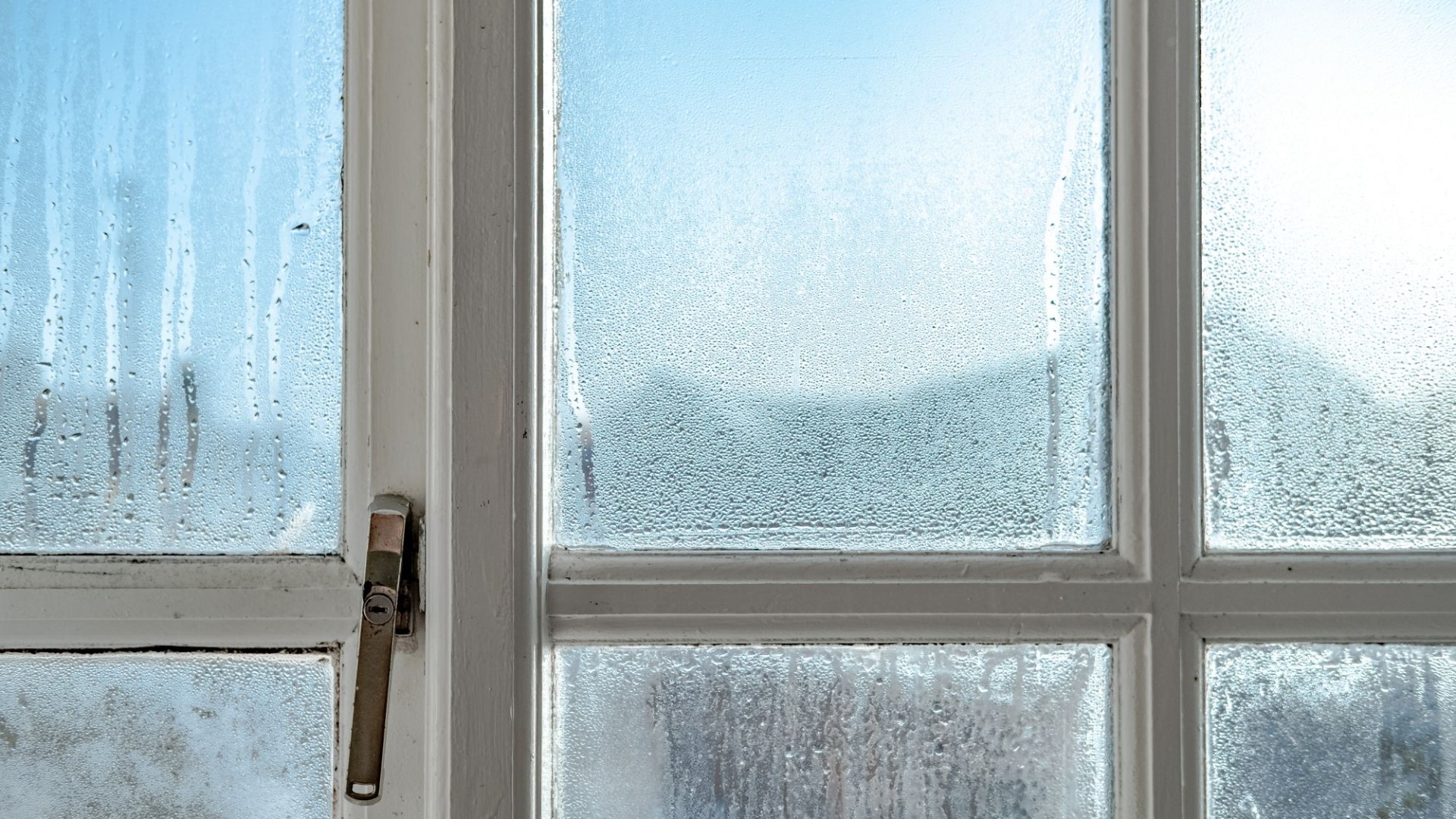 The 32p buy that’ll stop condensation forming on your windows as Brits hail it as ‘better than expensive dehumidifiers’