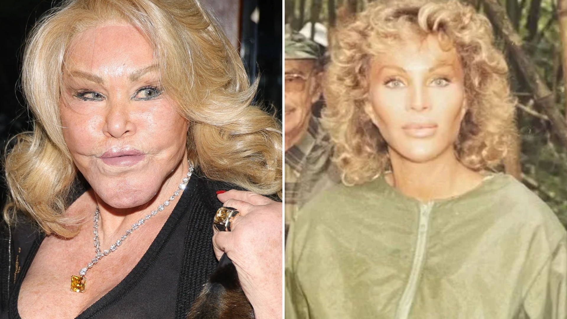 Debt, court threats & ‘life in chaos’- but ‘giggly’ Catwoman Jocelyne Wildenstein was in good spirits in last interview