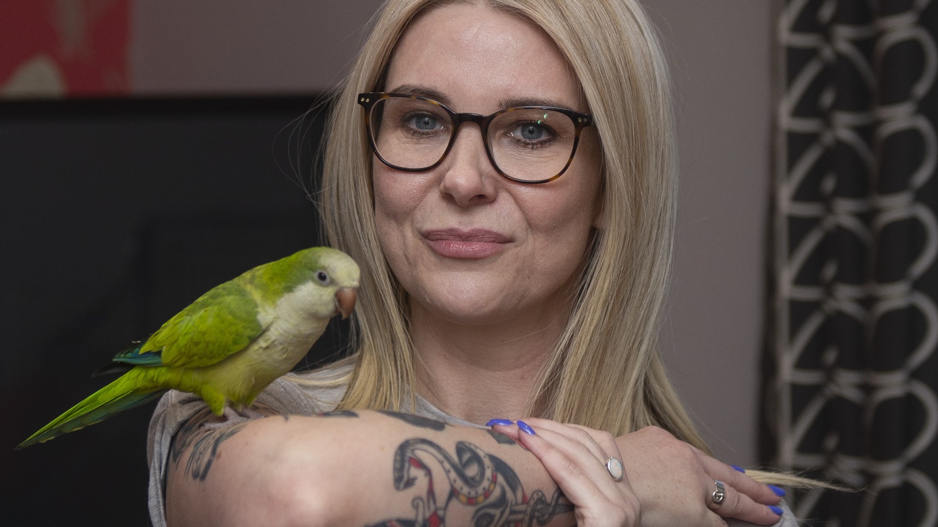 Parrot named Steve swoops into action and dive-bombs burglar raiding owner's home