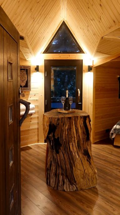 Treehouse interior with a tree trunk table and champagne.