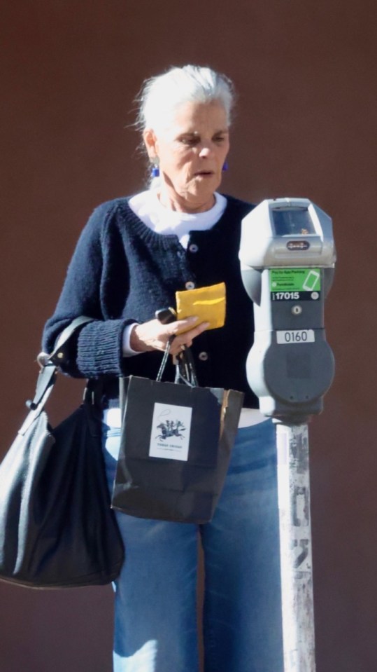 Ali MacGraw in Santa Fe.