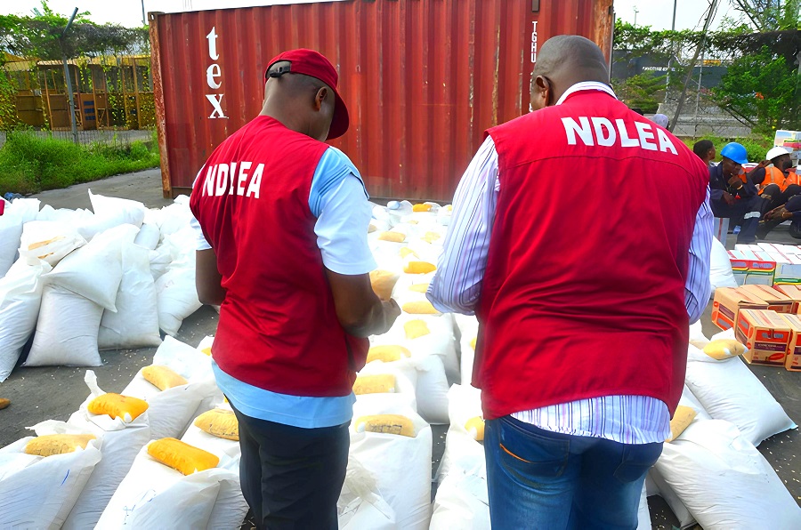 18,500 Arrests, 2.6mkg Drug Seizures In 2024, NDLEA's Successes Justify Global Support – Marwa