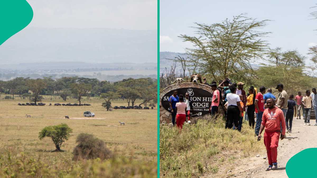 7-Year-Old Little Boy Comes Out Alive After Spending 5 Days in a Game Park Inhabited by Lions