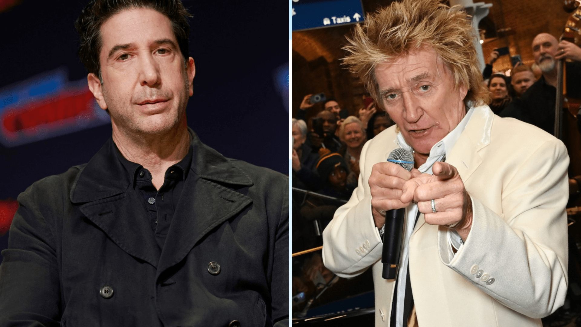 David Schwimmer reveals he once served Rod Stewart divorce papers before Friends