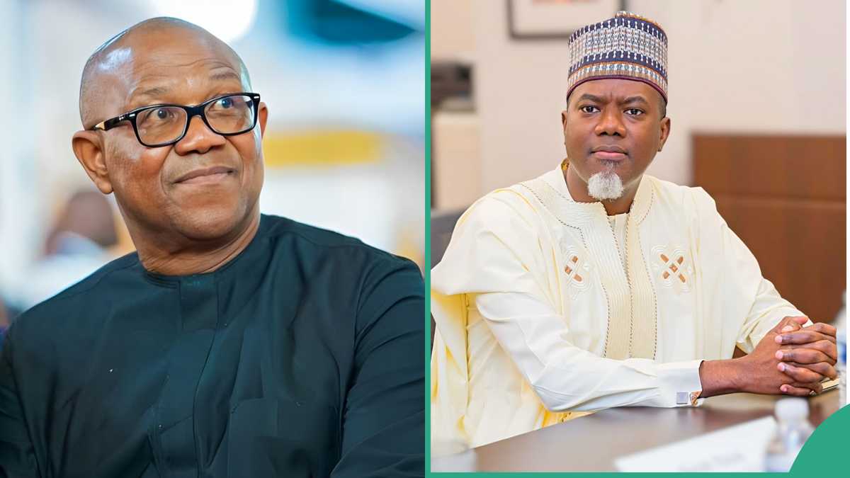 How Peter Obi Retired Top Political Bigwigs, Reno Omokri Speaks: “They’re on Life Support”