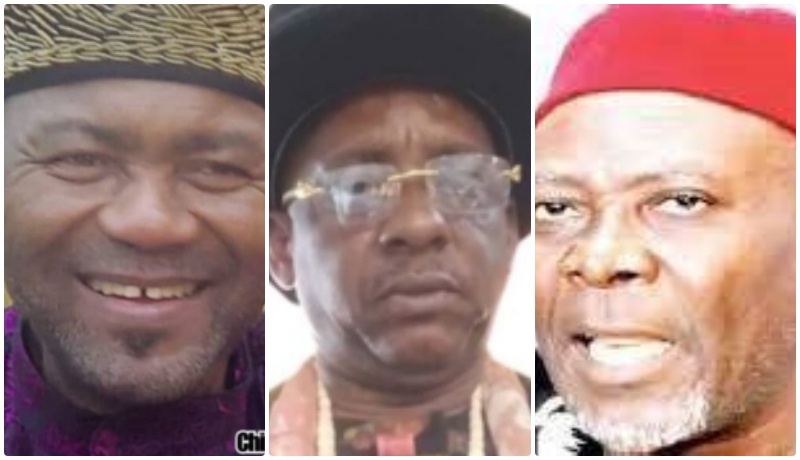 Ohaneze Ndigbo Election Crisis: One Group, 3 Presidents-General