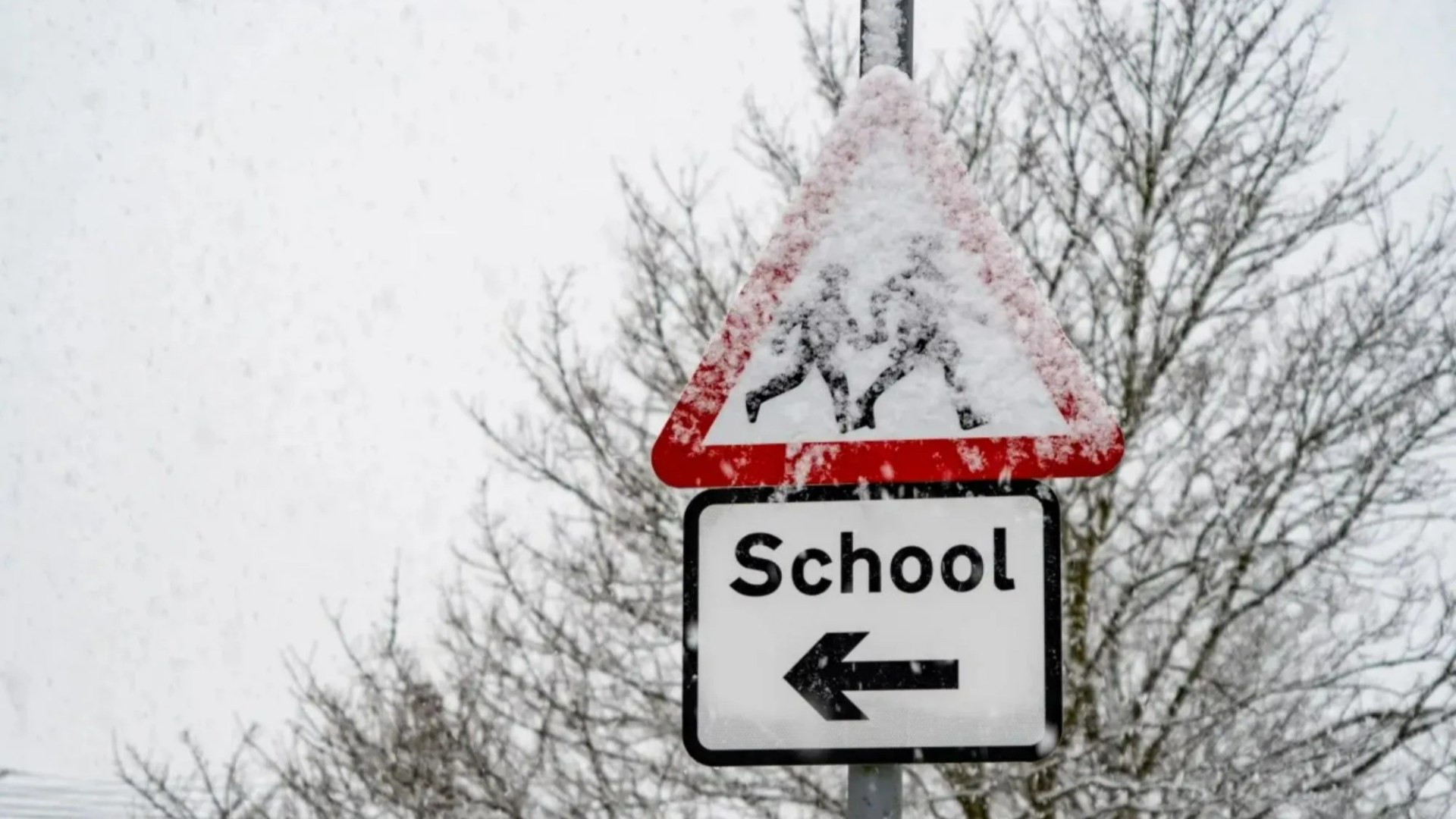 Schools CLOSED across Scotland as country blasted by heavy snow - check the full list