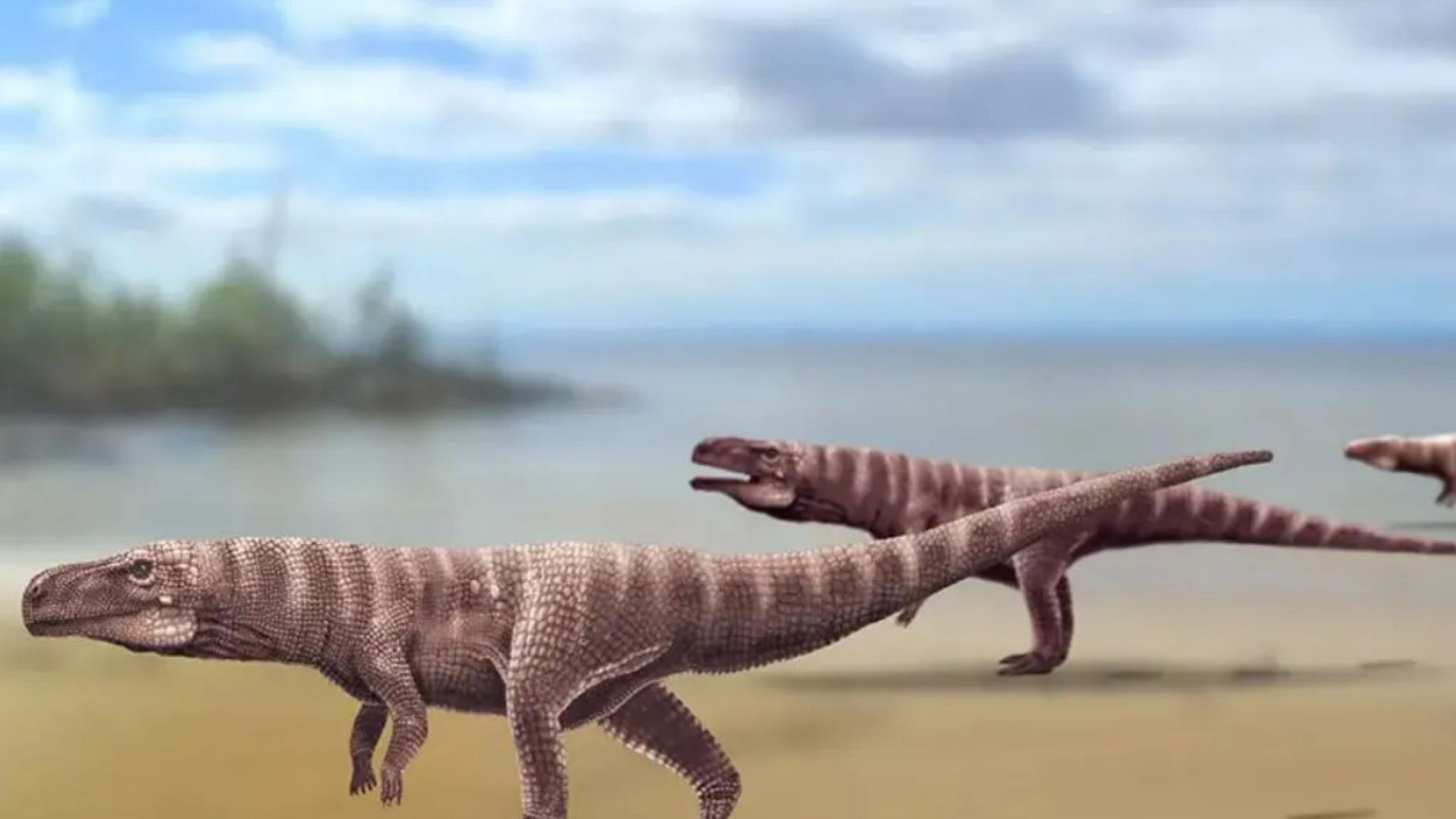 Terrifying prehistoric RUNNING CROCODILE could sprint on two legs to hunt dinosaurs for breakfast, footprints reveal