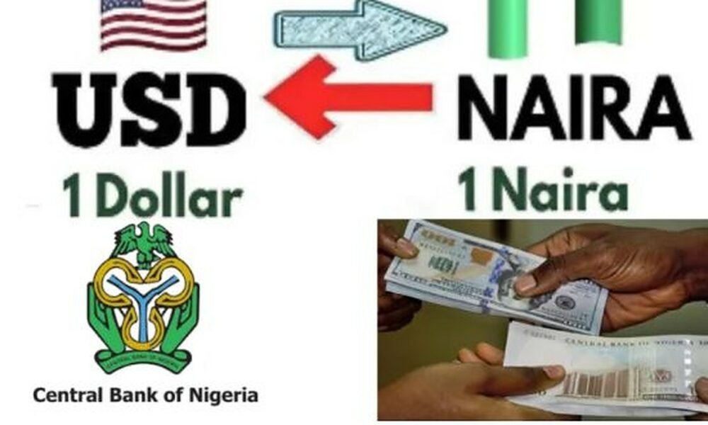 Black Market Dollar to Naira Exchange Rate Tracker 1st March 2025